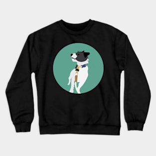 Nova Crewneck Sweatshirt